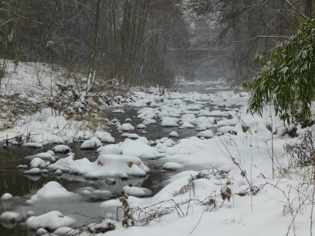 Rivière gîtes en cévennes la bayte